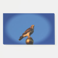Kansas Hawk sur un mât de drapeau