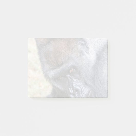 Post-it® Kidogo (Willie B Jr) au Zoo Atlanta (Devant)