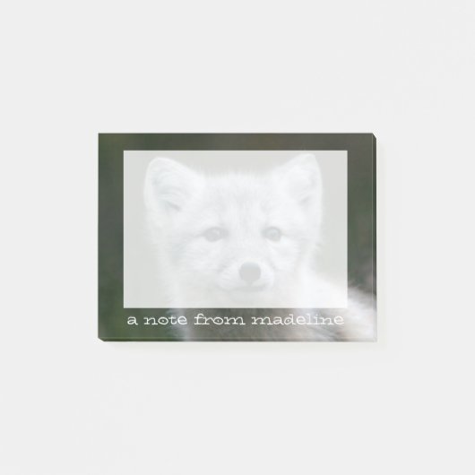 Post-it® Kit de Fox arctique des images | de Getty (Devant)