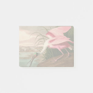 Post-it® La faune des oiseaux d'Audubon de Spoonbill Roseat