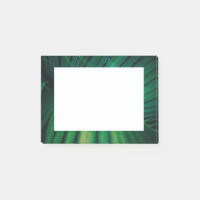 La Feuille verte Forêt tropicale Nature Photo