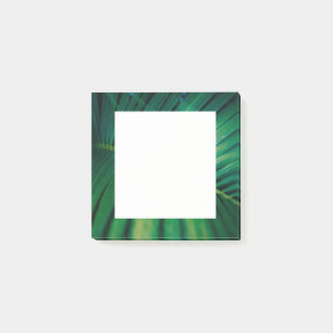 Post-it® La Feuille verte Forêt tropicale Nature Photo