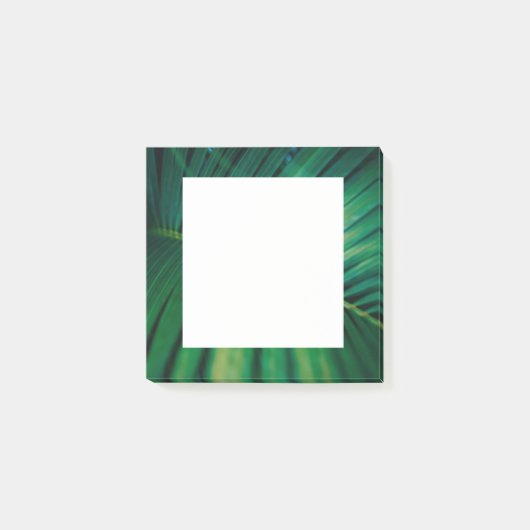 Post-it® La Feuille verte Forêt tropicale Nature Photo (Devant)