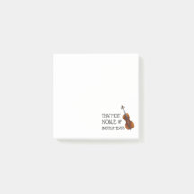 La plus noble des instruments - Cello