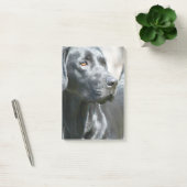 Post-it® Laboratoire noir (Bureau)