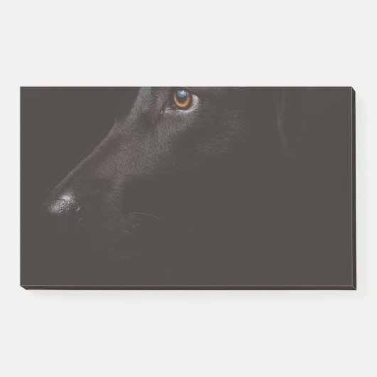 Post-it® laboratoire noir (Devant)