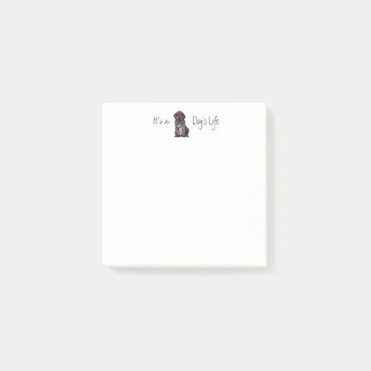 Post-it® Laboratoire noir d'été (Devant)