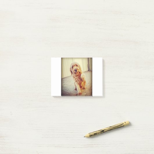 Post-it® labradoodle (Sur un bureau)