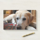 Post-it® Labrador Jaune Couché (Sur un bureau)