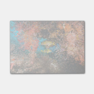Post-it® Laja Ampat 6 sous-marins
