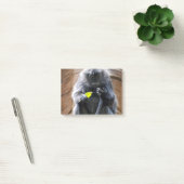 Post-it® Langur de bois d'ébène (Bureau)