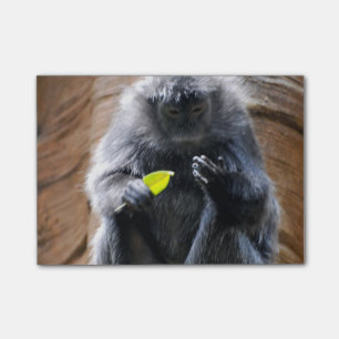 Post-it® Langur de bois d'ébène