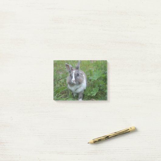 Post-it® Lapin lapin (Sur un bureau)