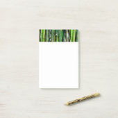 Post-it® Le Bambou vert Stalks Photographie de la nature (Sur un bureau)
