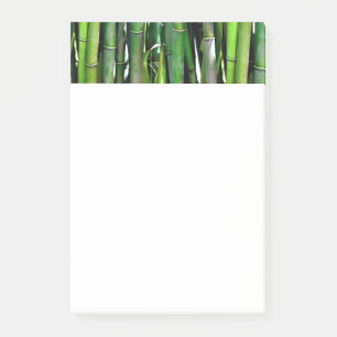 Post-it® Le Bambou vert Stalks Photographie de la nature