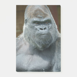 Post-it® Le Beau Silverback