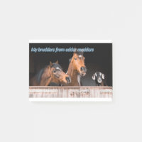 Le cheval drôle de Memes de cheval drôle décrit