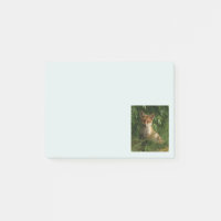 Le chou renard dans une forêt verte
