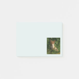Post-it® Le chou renard dans une forêt verte