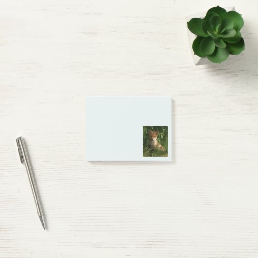 Post-it® Le chou renard dans une forêt verte (Bureau)