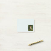 Post-it® Le chou renard dans une forêt verte (Sur un bureau)