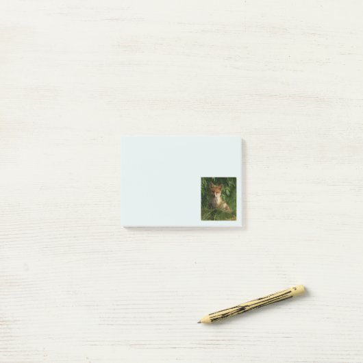 Post-it® Le chou renard dans une forêt verte (Sur un bureau)
