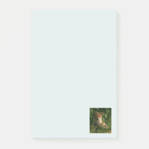 Post-it® Le chou renard dans une forêt verte