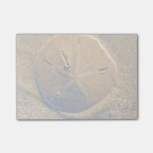 Post-it® Le dollar de sable a indiqué sur la plage Hilton