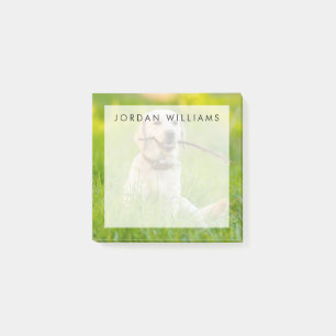 Post-it® Le Labrador Jaune se rapproche avec un bâton