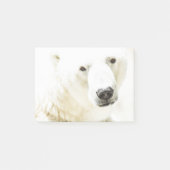 Post-it® Le regard d'un ours polaire (Devant)