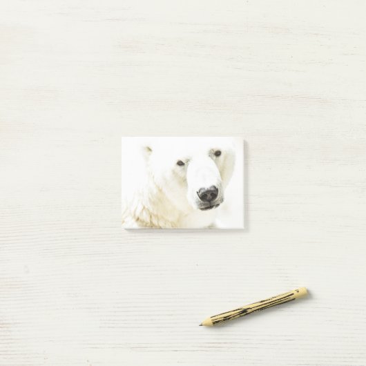 Post-it® Le regard d'un ours polaire (Sur un bureau)