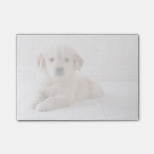 Post-it® Le Retrieur d'or qui ment