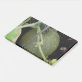 Post-it® Le squash du jardinier (Incliné)
