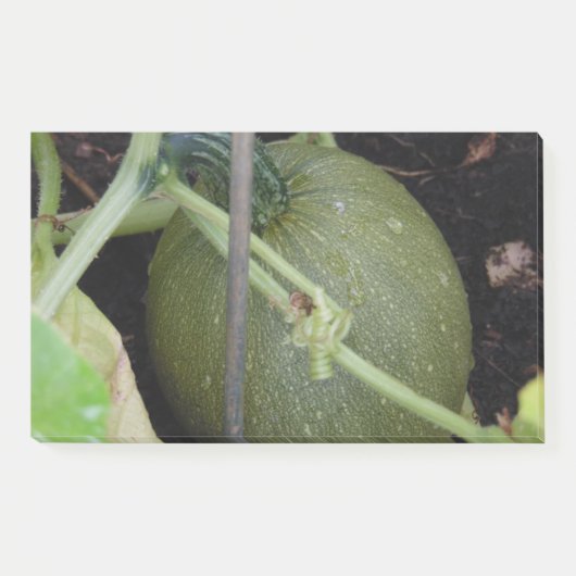 Post-it® Le squash du jardinier (Devant)