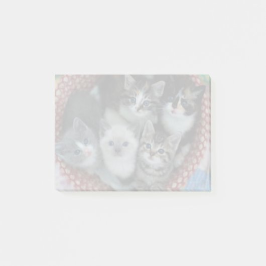 Post-it® Les Chatons Dans Un Panier (Devant)