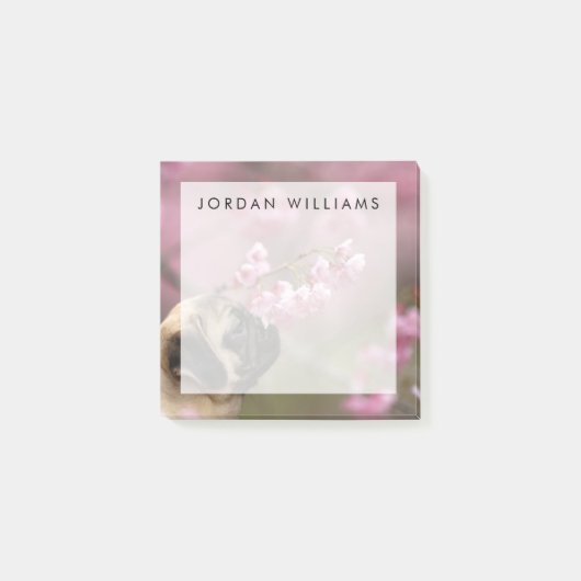 Post-it® Les fleurs de cerisiers d'Carlin (Devant)