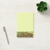 Post-it® Les séquoias au monument national de Muir Woods (Bureau)