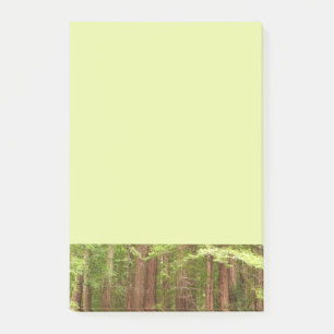 Post-it® Les séquoias au monument national de Muir Woods