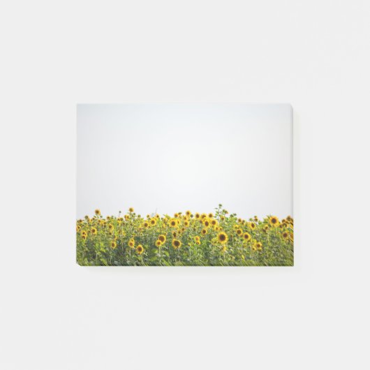 Post-it® Les tournesols dans un champ (Devant)
