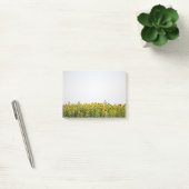 Post-it® Les tournesols dans un champ (Bureau)