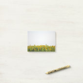 Post-it® Les tournesols dans un champ (Sur un bureau)