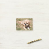 Post-it® Lhasa Apso dog (Sur un bureau)