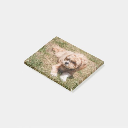Post-it® Lhasa Apso dog (Incliné)