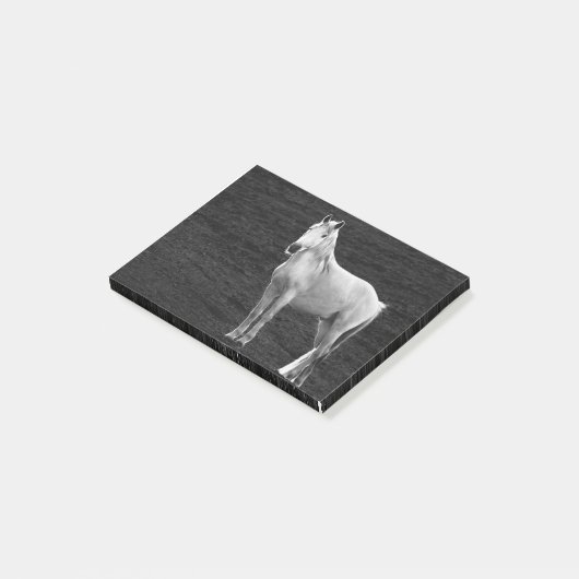 Post-it® LIN10BW le Stance.tif (Incliné)