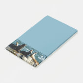 Post-it® Lions de la mer de San Diego (Incliné)