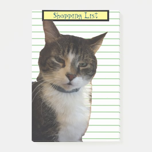 Post-it® Liste d'achats de chats (Devant)
