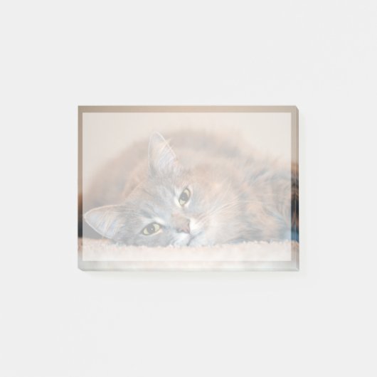 Post-it® Long chapeau bleu russe par Shirley Taylor (Devant)