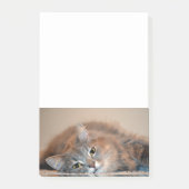 Post-it® Long chapeau bleu russe par Shirley Taylor (Devant)