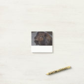Post-it® Long Haired Dachshund Post it Notes (Sur un bureau)