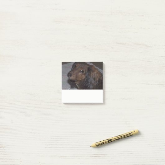 Post-it® Long Haired Dachshund Post it Notes (Sur un bureau)